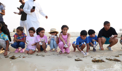 Baby Hawksbill turtles released at Fuwairit Beach during conservation events in Qatar